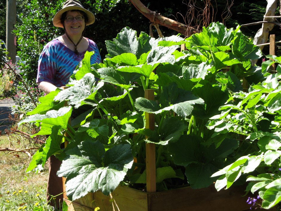Help! I've being held prisoner by a giant zucchini plant!