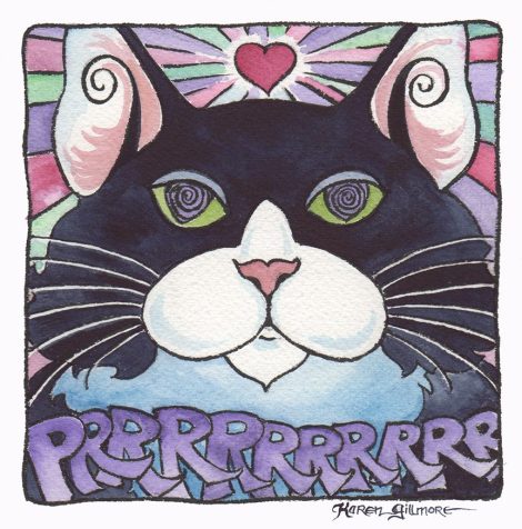 the how-to page said you get extra internet points if your first picture is a cat!