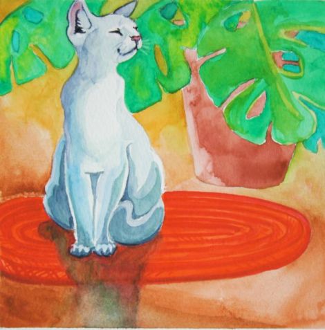 "Sunshine" — funny how cats always find the warm spot in the house!