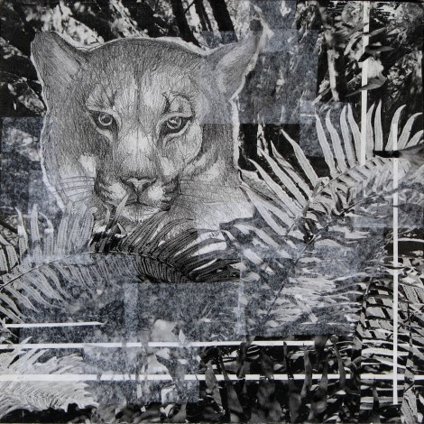 Cougar in the Ferns — made from photocopies of my sketch of a cougar and some photos I took of ferns. I was going to glaze it with paints, but I liked it so much in black and white I left it.