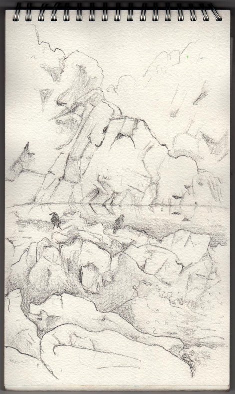 Rocks and Crows at Hot Springs Cove, BC — I was travelling VERY light here — only a graphite pencil , a sharpener, and my sketchbook. I knew we were going to have to hike for a few kilometres so I kept it minimal.
