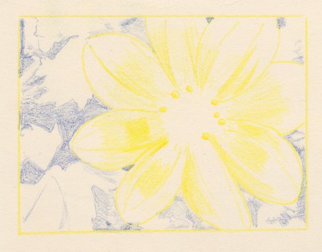 Next I started filling in some of the areas that had the most intense yellow, and started filling in the darker areas of the background so that I could see the flower better. If something  has a lot of yellow in, I generally do that first, using it as an undertone to tie everything together. If you wait until the end to put on the lighter colours, they can get contaminated easily by the dark. On the background, I started with the darkest, because I knew I was going to use mostly dark, harmonious colours that would blend well. This way I could just keep layering them back and forth, dark and light.