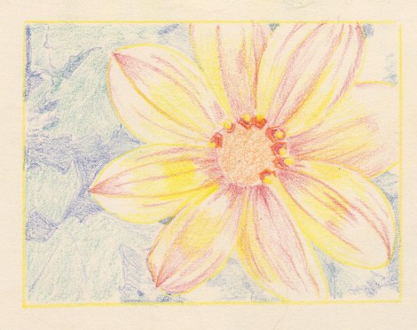 I added some reds to start defining the centre disc, and start filling in the darker areas of the petals. I've also added some more colour in the background. The strokes I'm using throughout this are very light so as not to crush the tooth of the paper too early.