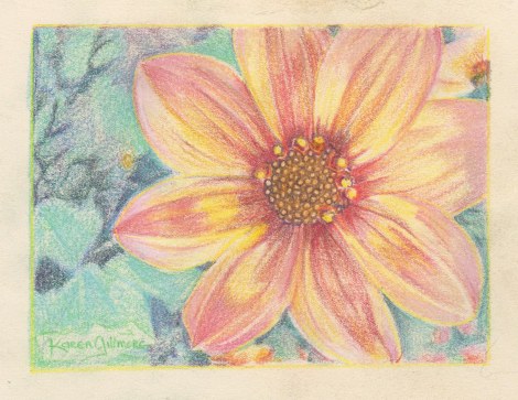 Here I've begun burnishing. This is the process of using a light coloured pencil (or a special colourless pencil) to blend the colours and push them down into the paper a bit. Here I used a white pencil to burnish some of the pink; compare it with the last photo.