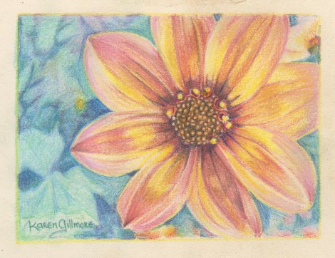 Adjusted the values a bit more, added some purple to give more depth to the darks and the background, and a bit more burnishing. There are many colours layered over each other for richness. Just colouring in a single colour of pencil, no matter how many colours you have in your set, cannot give you the richness and depth that layering different colours can give you. Knowing which ones will go best together is partly a matter of knowing the colour wheel, but also partly experimentation. 