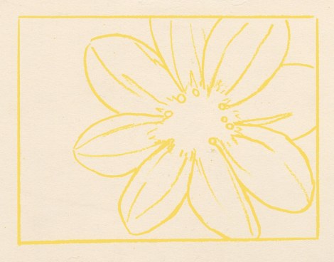 I started off with a drawing in yellow pencil, since that was going to be an underlying colour through most of the flower. Regular graphite pencils can smudge and cause your colours to get greyed wherever they connect. Pick a very light colour to sketch in, that will show up in most of your painting. You may need to use different colours for different areas. I photoshopped this a bit so it would show up more clearly; it was very pale.
