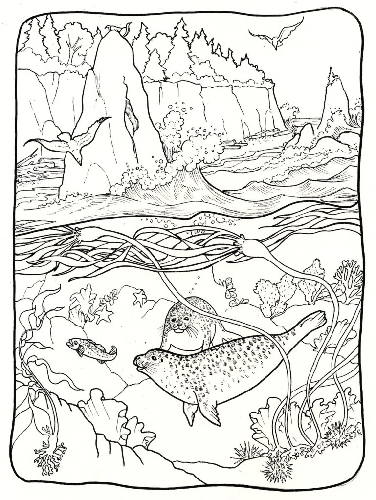 I loved doing this over-under picture showing some of the offshore sea life. And I love drawing rocks.