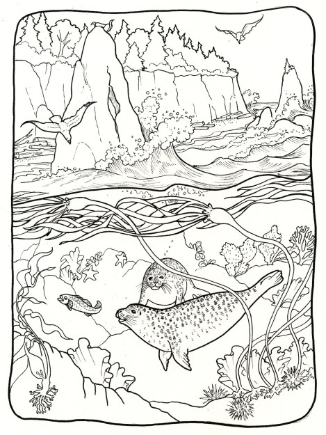 I loved doing this over-under picture showing some of the offshore sea life. And I love drawing rocks.