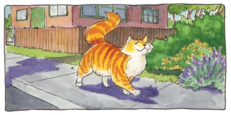 F clean S&S colour 53