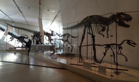 There were dinosaurs, or at least their innermost innards...