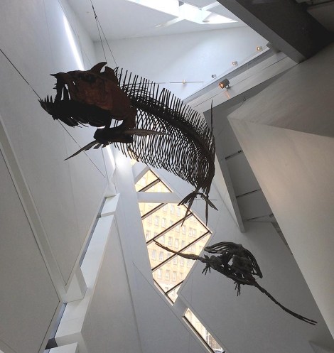 ...prehistoric fishie-like things and a gigantic sea turtle...