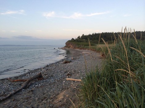 I found my way to my friend Annie's (the writer of Spam and the Sasquatch) place in Port Townsend, and she took me on an evening tour of some of Spam's favourite haunts, including Elevated Ice Cream. We fetched up at a beach facing Whidbey Island, from which emanated a sound like thunder. I asked a man on the beach what it was, and he said there was a new kind of jet that was being tested over there, and that the locals were Not Amused. I could hear why.