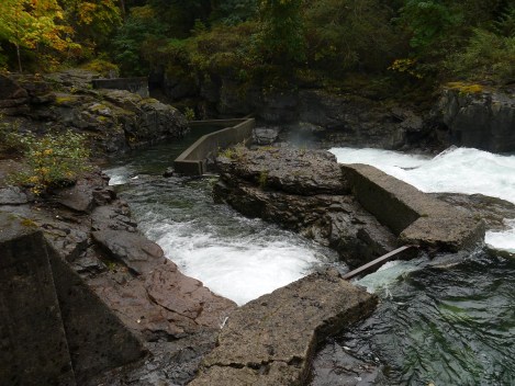This is partly natural rocks and man-made concrete; it's a fish ladder built to help the salmon past the falls so that more of them will make it to the spawning ground. I am dubious about the value of this to the survival of the species, since only the very strongest would make it otherwise, but there were salmon still spurning the easy way and leaping the falls. I thought this made a striking composition with the contrast between straight and organic lines.