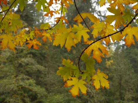 Don't forget to look up when you're hunting painting reference — and new desktop photos for your computer!