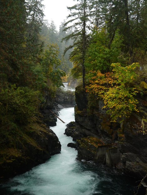 The quiet waters downstream presented a chance for some dramatic contrast. The autumn colours on the right bank glow! There is some nice eye-leading stuff happening here that would take very little tinkering to make a nice painting. The upper and the lower sections of bright water point at the colourful foliage. I'd probably crop a little bit off of the left and add a bit to the right (I've got other photos for context), and make the tree on the edge of the cliff slant a bit more.
