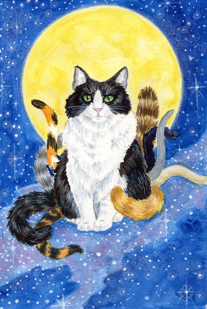 9 Tales O' Cats is a collection of short stories about — cats! (Bet you guessed that!) I used my own cat, the ever-photogenic Mak, as a model, and put tails of many colours on him to represent the different cats in the book. I had great fun perching him on the Milky Way.