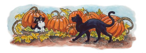 cats-n-pumpkins colour