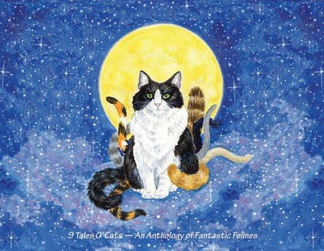 I used Photoshop to create a wider galaxy for this portrait of my cat Mak to sit upon, using the existing background bits and lots and lots of Photoshop clone stamp!