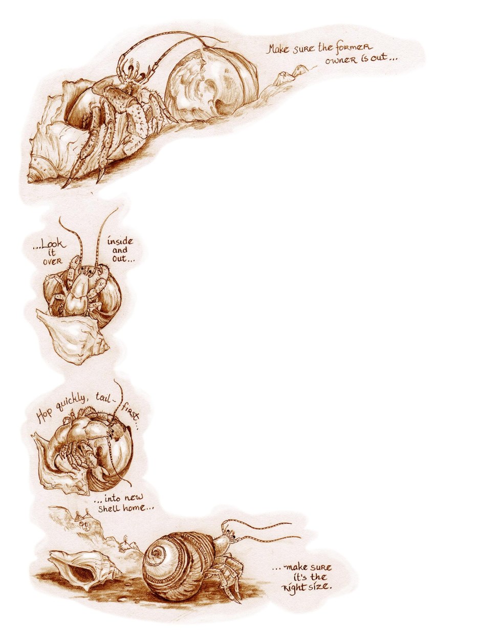 ch 10.1 full page.jpg