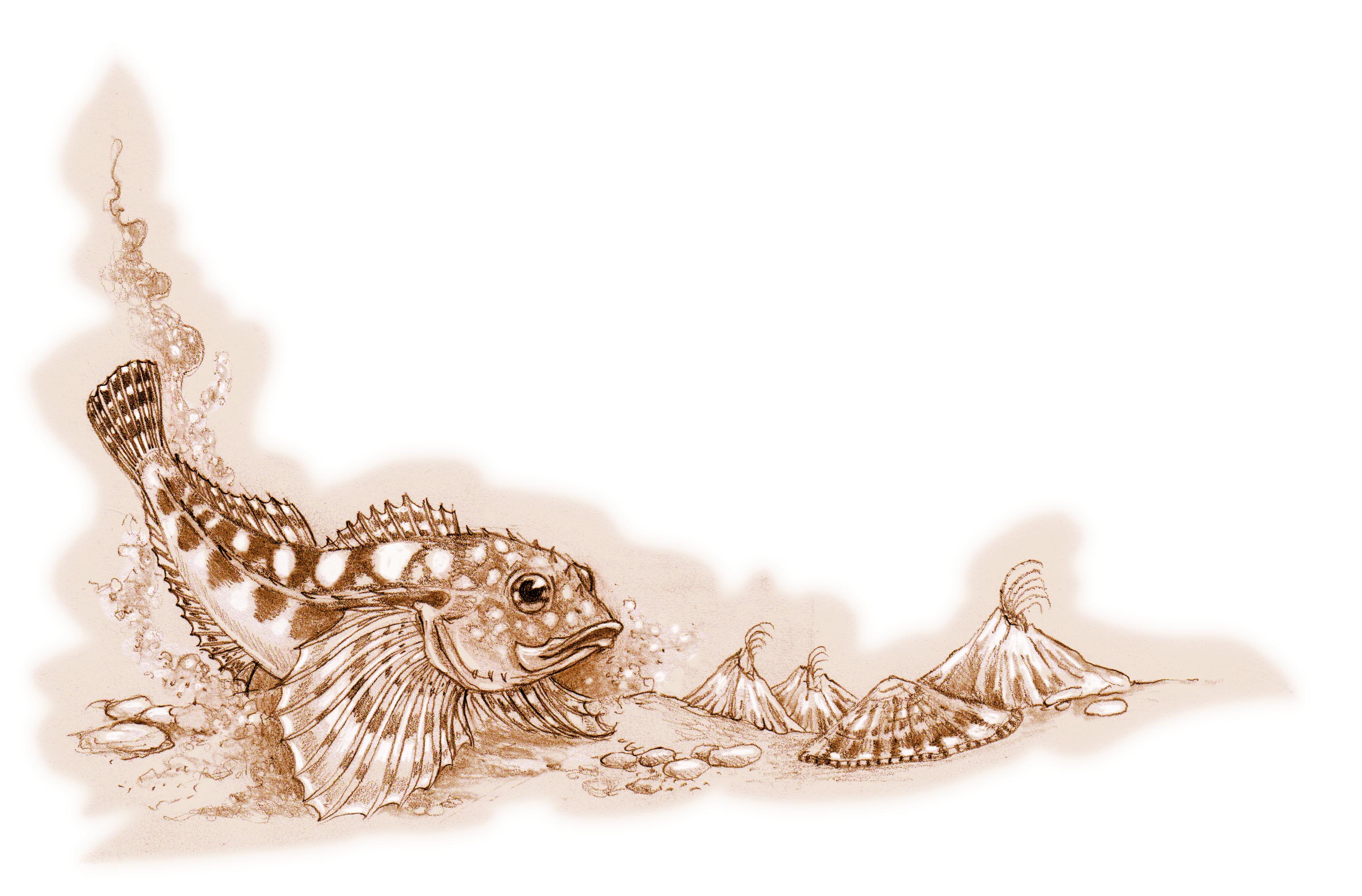 Nature and Sea Life | Karen Gillmore Art
