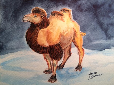 Bactrian Camel 2.JPG
