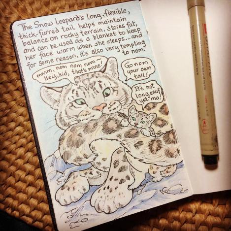 snow leopard instagram.jpg