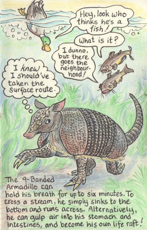 Zooly 2 colour adjusted.jpg