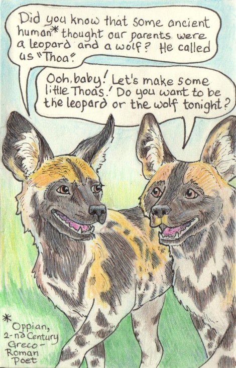 Zooly 3 colour adjusted.jpg