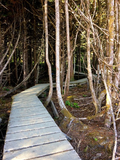 Combers boardwalk.jpg