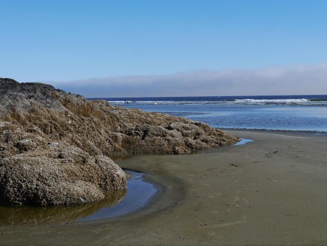 Incinerator Rock.JPG