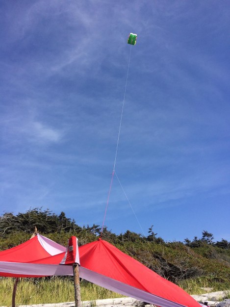 kite pole.jpg