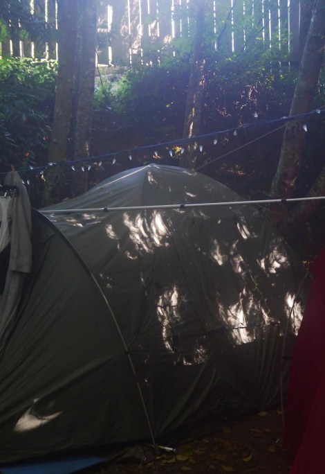 Mike's eclipse tent.jpg