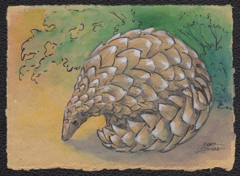 pangolin sm