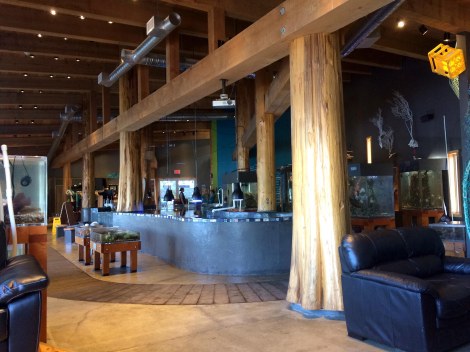 Ucluelet Aquarium Interior.JPG