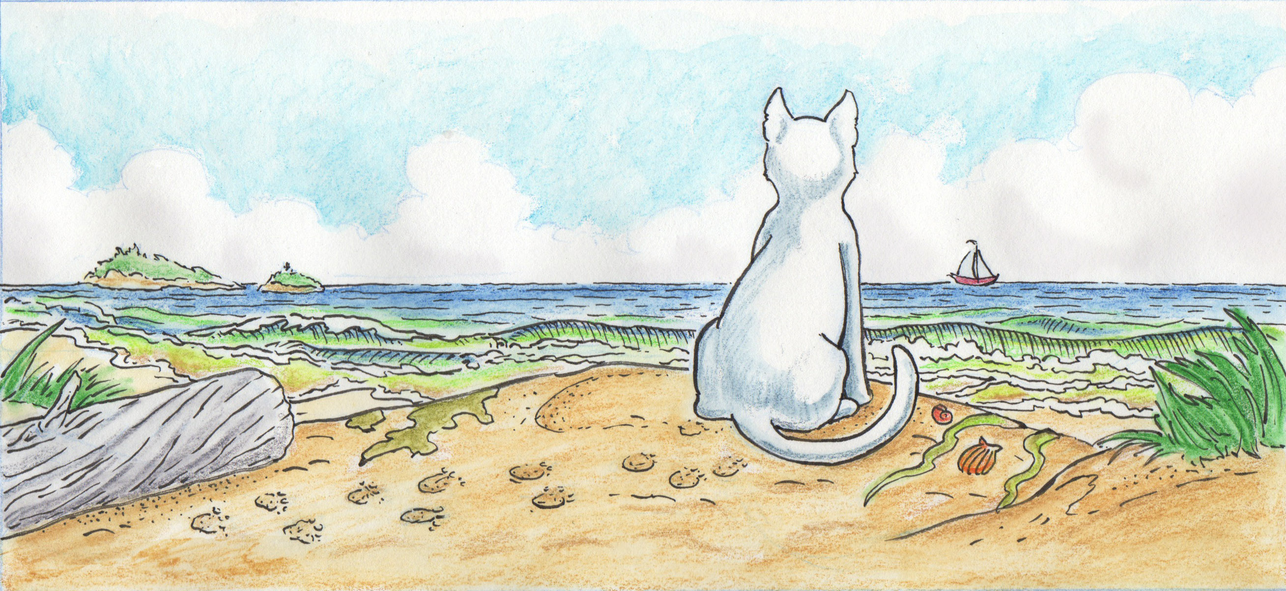 Cat on Beach cover image