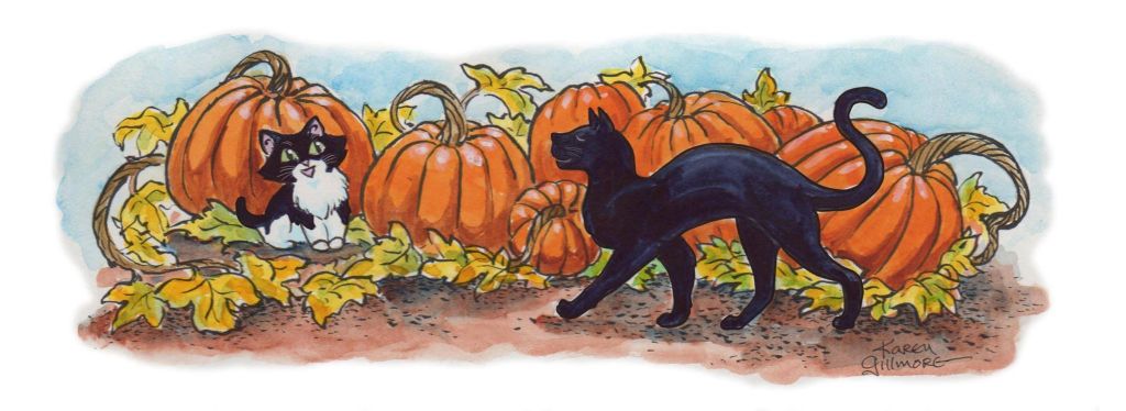 A black cat strolls jauntily through a pumpkin patch, where she is greeted by a smiling tuxedo kitten.